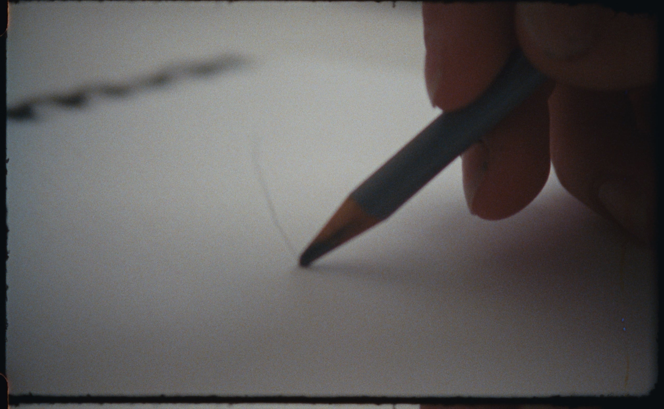 Guillemette — still 8